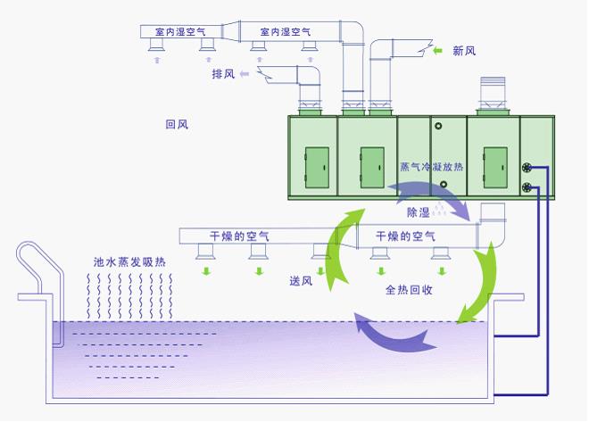 泳池除湿机示意图3.jpg
